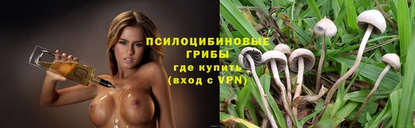 гашик Дмитриев