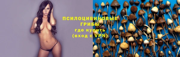 гашик Дмитриев