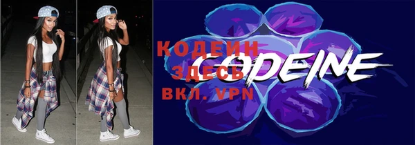apvp Дмитровск