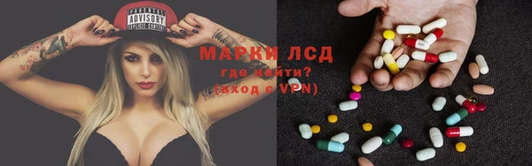 гашик Дмитриев