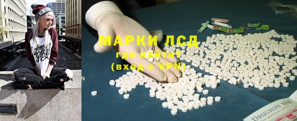 гашик Дмитриев