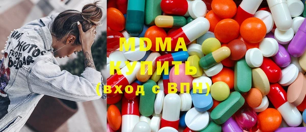 гашик Дмитриев