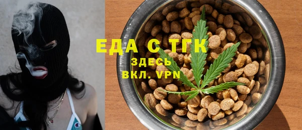 гашик Дмитриев