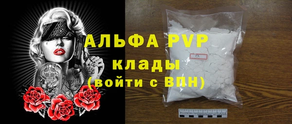 гашик Дмитриев