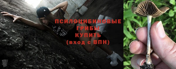 гашик Дмитриев