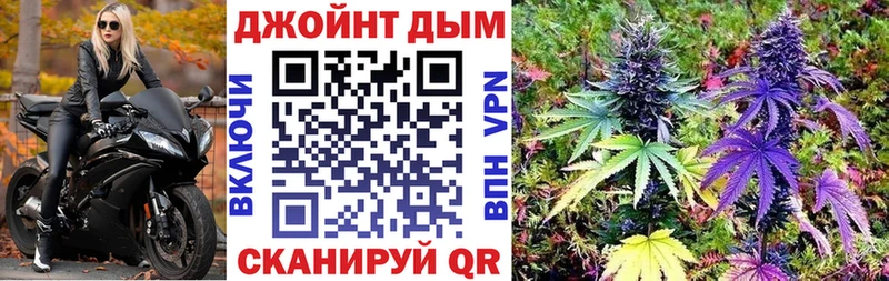 Конопля планчик  Заволжск 